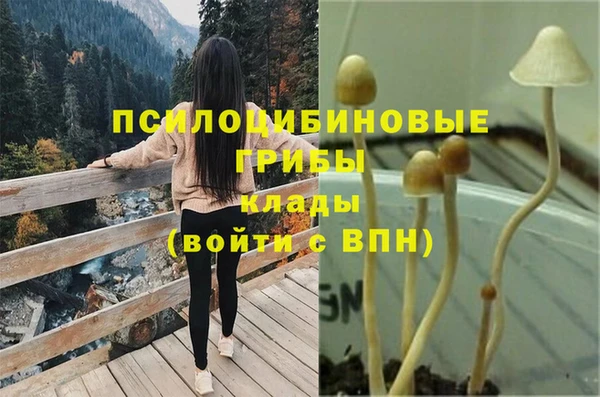 гашик Покров