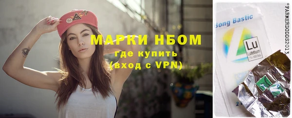 крисы Баксан