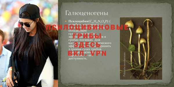 винт Арсеньев